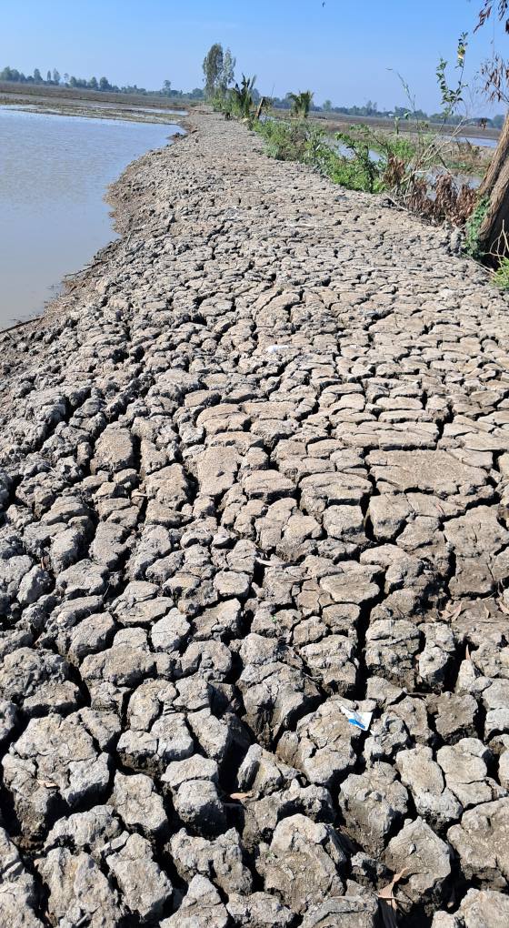 Đất nền Bình Thành, Thoại Sơn 14 công giá 1.68 tỷ - Đầu tư tiềm năng!