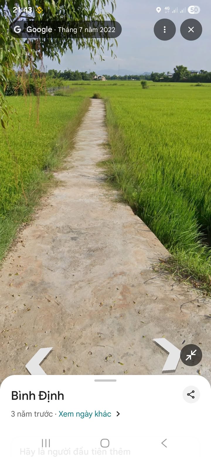 Đất ruộng 1880m² Phước Thắng, Tuy Phước - Giá thương lượng hấp dẫn!