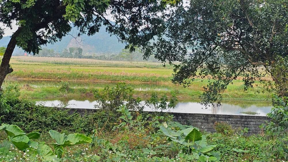 Đất thổ cư 3140m² tại Nhuận Trạch, Lương Sơn - Cơ hội đầu tư hấp dẫn!