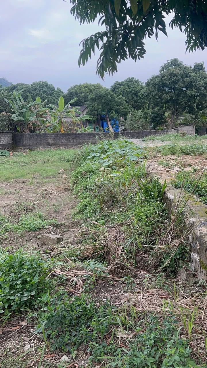 Lô đất 121m² tại phường Trung Sơn, Ninh Bình giá chỉ 700 triệu - Đầu tư sinh lời ngay!