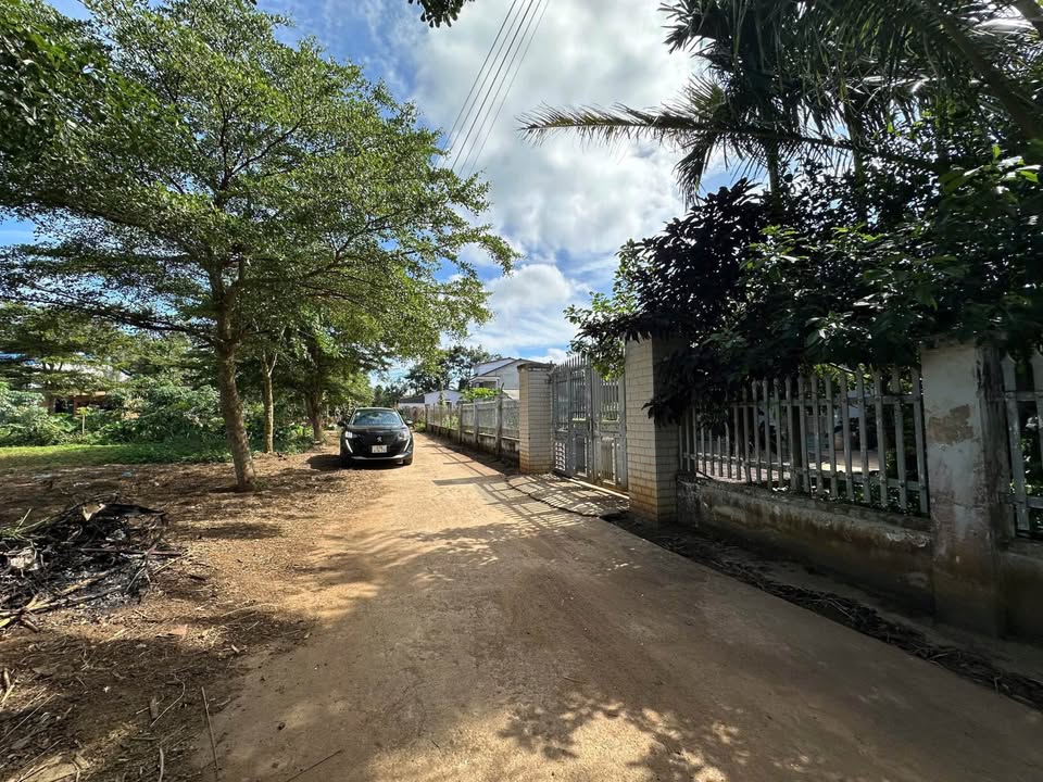 Đất nền xã Ea Tiêu, huyện Cư Kuin 115m² giá 730 triệu - Cơ hội đầu tư tuyệt vời!