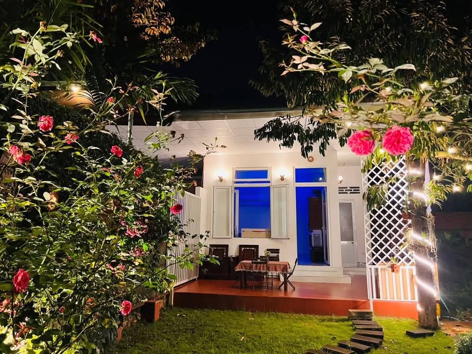 Nhà vườn mini Hòa Thuận 270m² giá thỏa thuận - Cơ hội kinh doanh tuyệt vời!