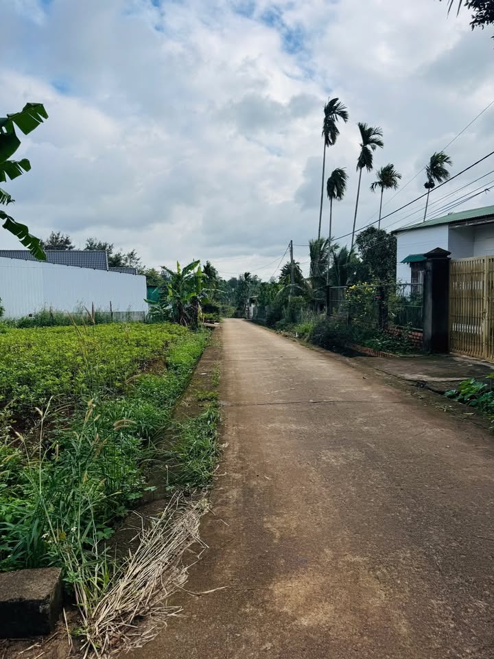 Đất Tặng Nhà Cấp 4 tại Hẻm 205 Nguyễn Thái Bình, 237m² giá 2.6 tỷ - Cơ hội đầu tư lý tưởng!