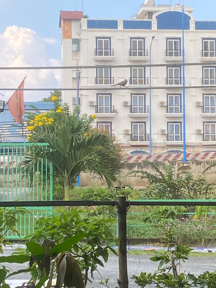 Đất nền Hóa An Biên Hòa 6000m² giá chỉ 18 tỷ - Sổ hồng chính chủ!