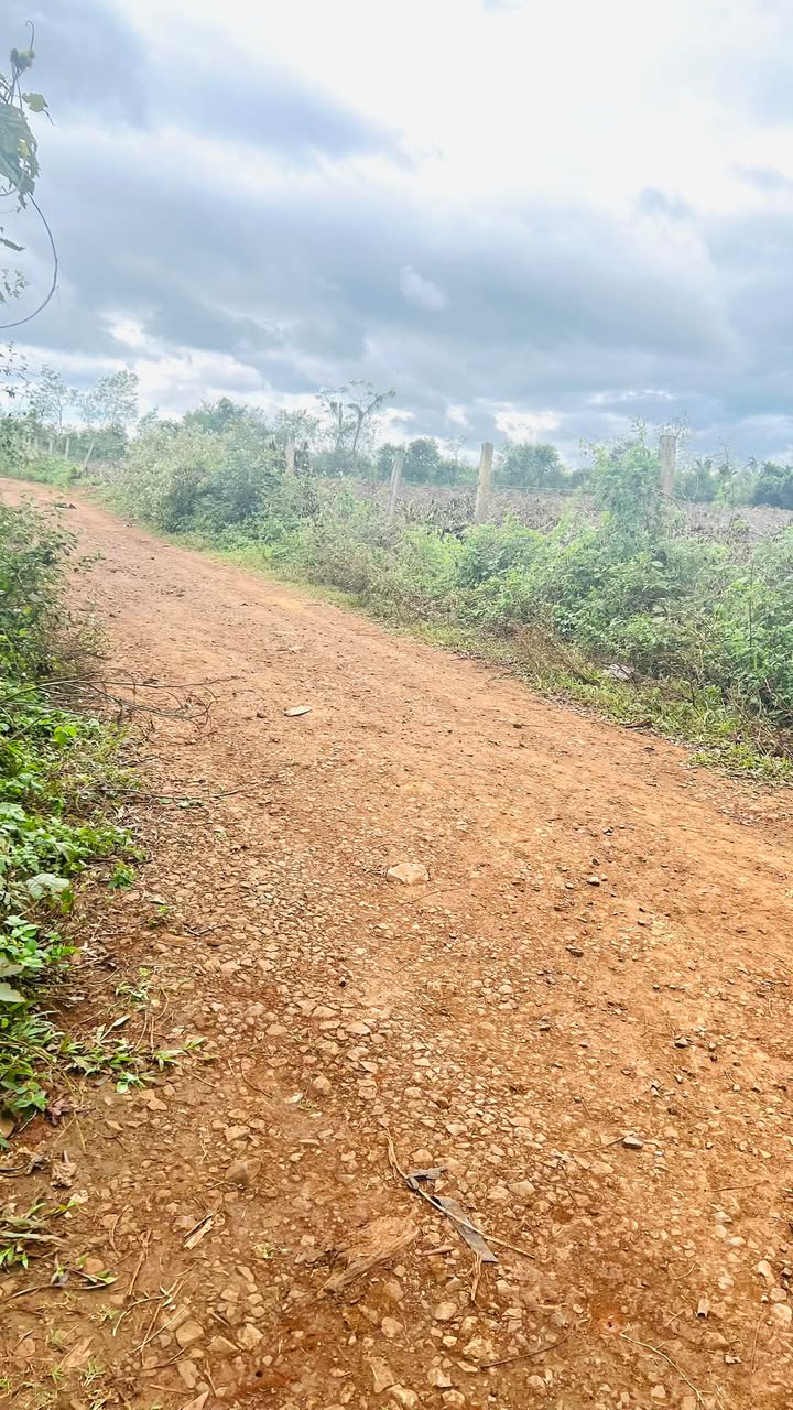 Đất nền Cư M'gar 8 sào giá 800 triệu - Sổ hồng chính chủ!