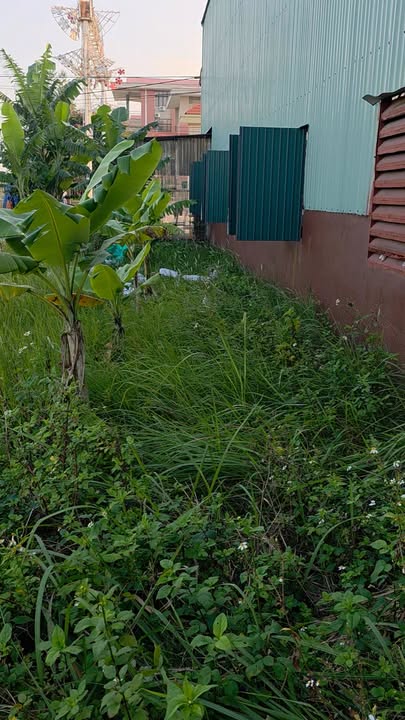 Đất nền Thừa Lương Tài 94m² giá 3 tỷ - Gần khu công nghiệp DHA!