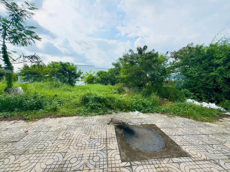 Đất nền mặt tiền Mạc Văn Thành, Long Hưng, Gò Công, Tiền Giang 147.5m² - Cơ hội đầu tư lý tưởng!