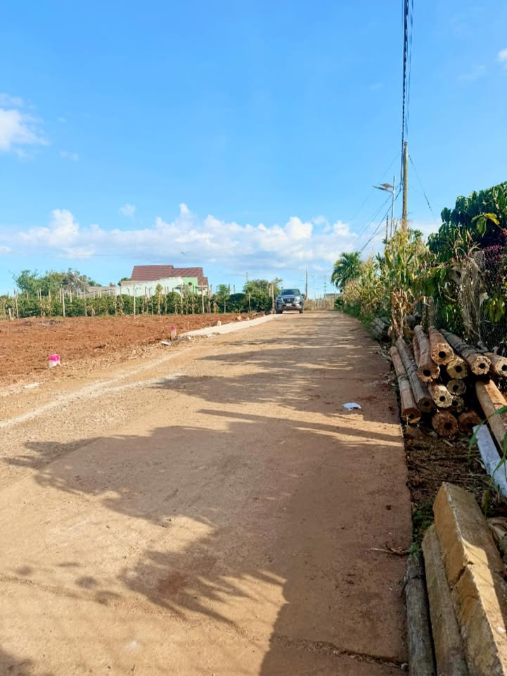 Đất nền Tân Hội, Đức Trọng 180m² giá 720 triệu - Đầu tư sinh lợi ngay!