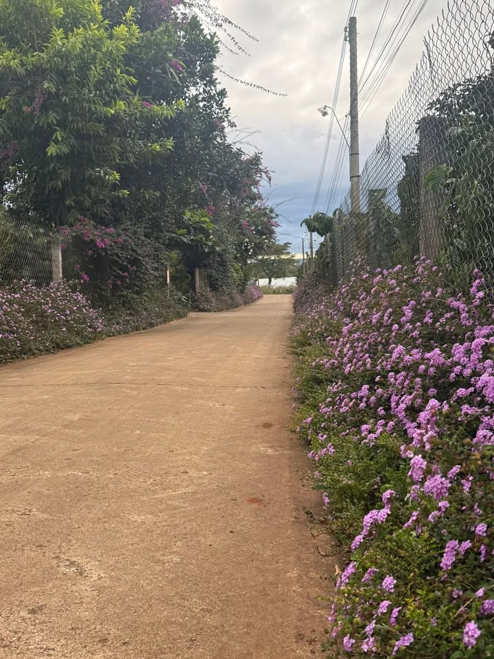 Đất nền Tân Hội Đức Trọng 6000m² giá 11 tỷ - View hồ tuyệt đẹp!