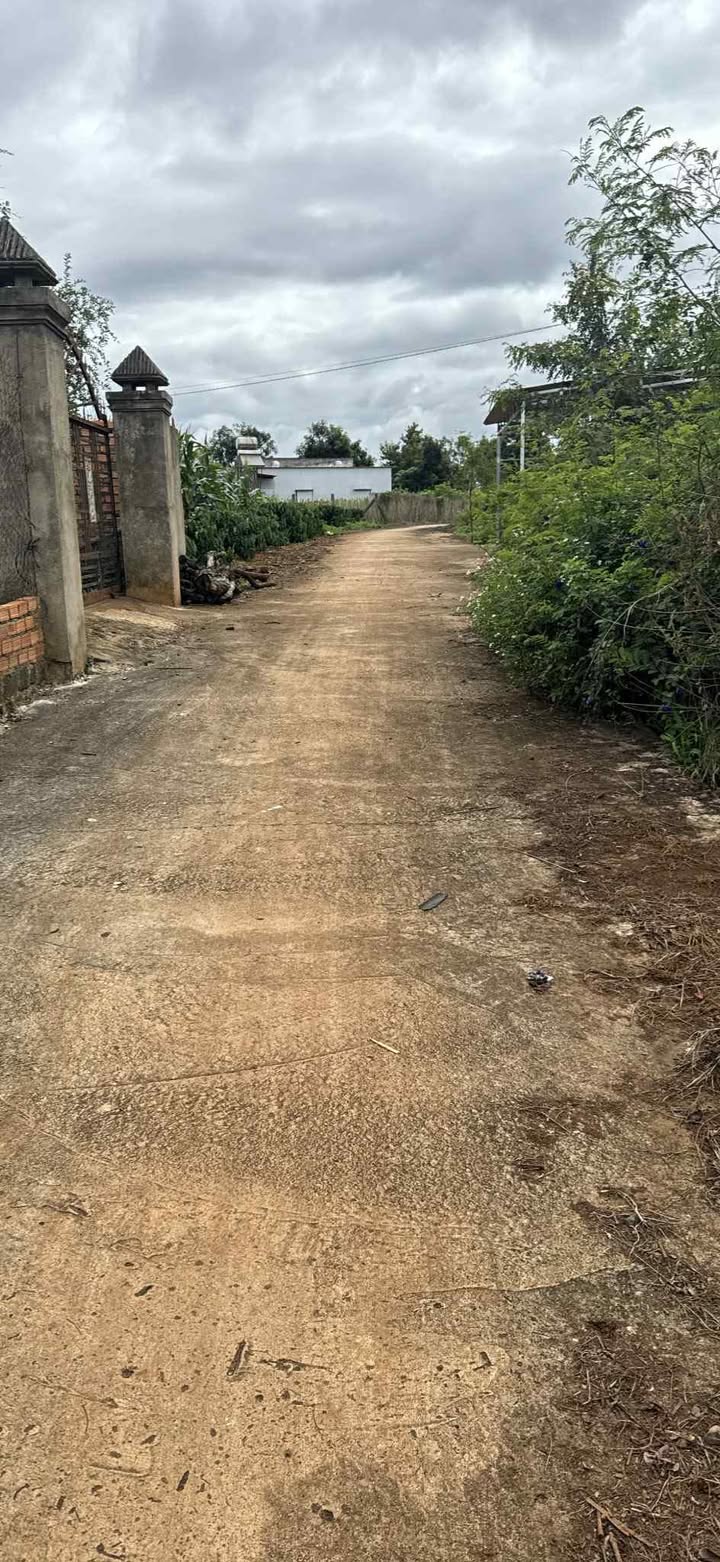 Đất nền Tân Hội, Đức Trọng 159.5m² giá 500 triệu - Sổ đỏ chính chủ, cơ hội đầu tư tuyệt vời!