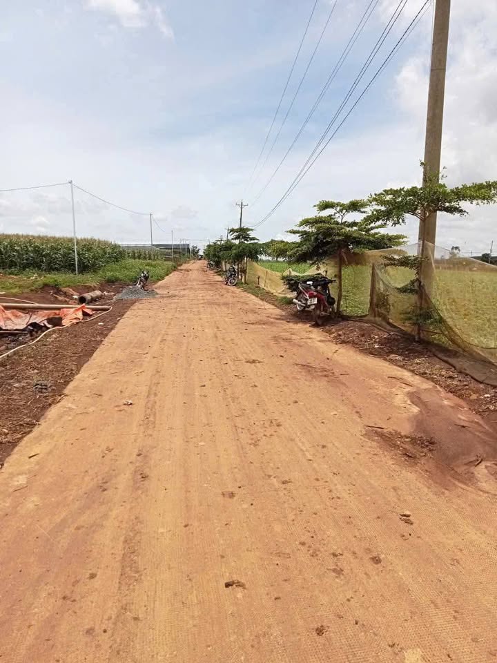 Đất nền N'Thol Hạ, Đức Trọng 3,7 sào giá 3,1 tỷ - Cơ hội đầu tư tuyệt vời!