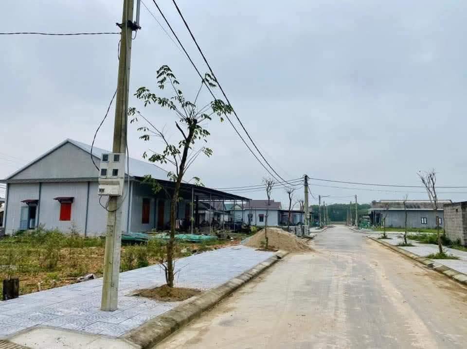 Đất thổ cư 150m² tại Phường Phong Điền, Huế chỉ 300 triệu - Mặt tiền đường nhựa rộng rãi!