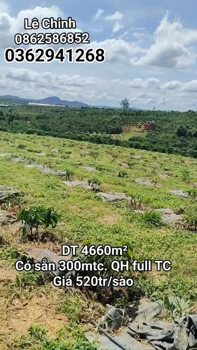 Đất nền Tân Văn Lâm Hà 4660m² giá 9.32 tỷ - Sổ hồng đầy đủ, tiện ích sẵn có!