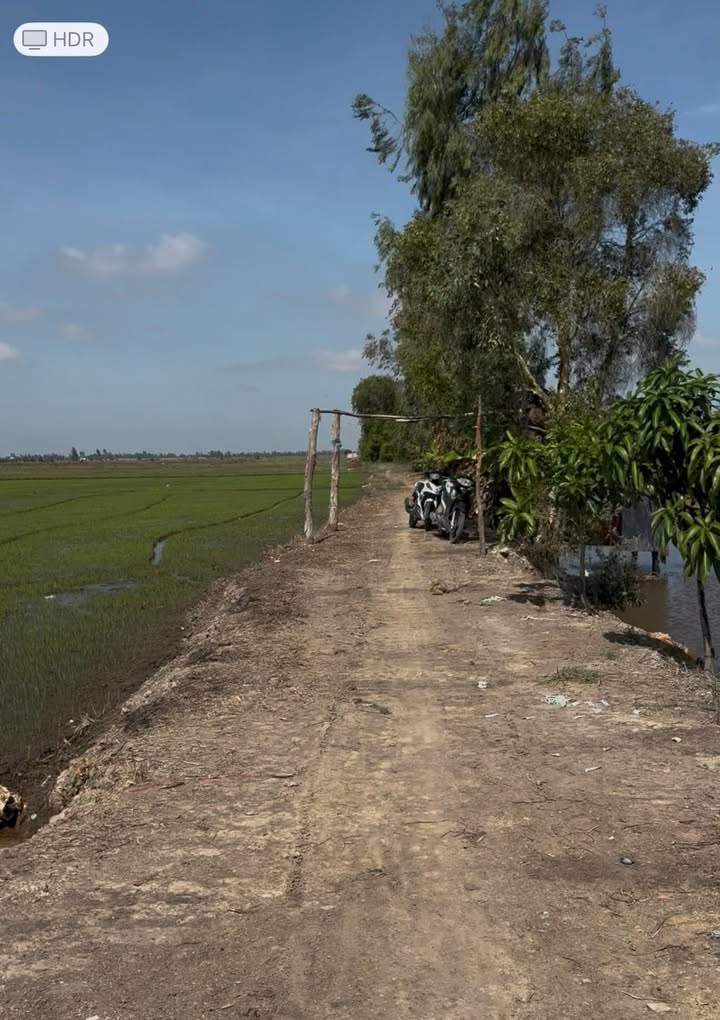 Đất nông nghiệp 60 công Phú Xuân, Tam Nông - Giá chỉ 7.2 tỷ, tiện lợi tưới tiêu!