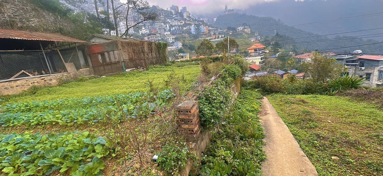 Đất nghỉ dưỡng tại thị trấn Tam Đảo 2131m² giá 63.93 tỷ - Cơ hội đầu tư sinh lời!