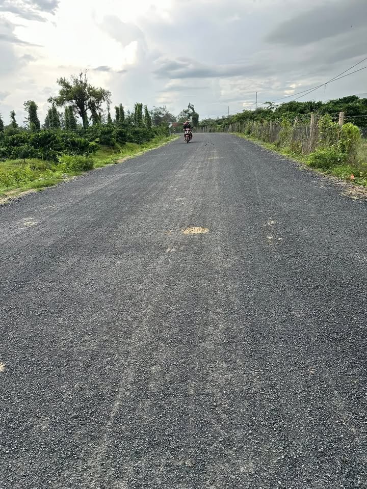 Đất Farm 1ha Đăk Phơi, Lắk - Mặt tiền 60m - Đầu tư sinh lời!