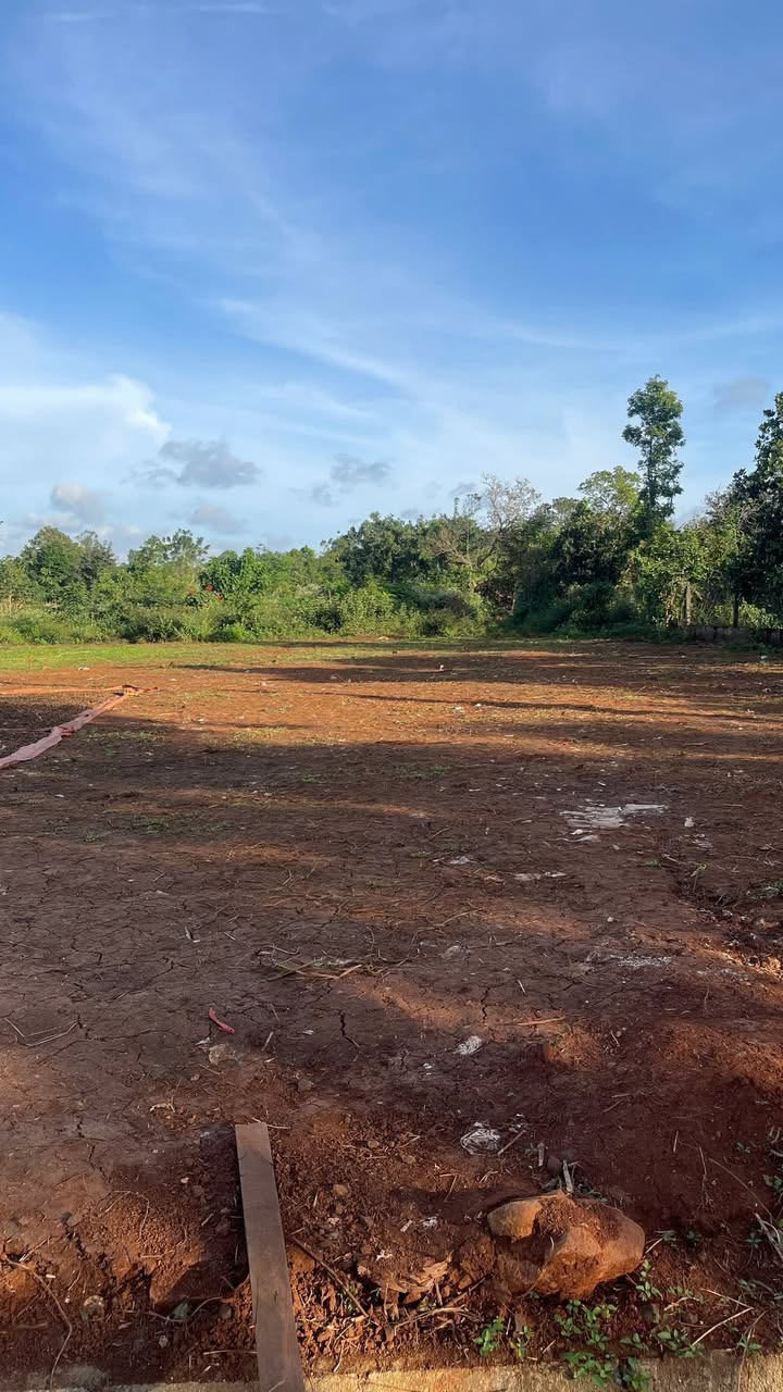 Đất nền Cư Suê Đắk Lắk 124.4m² giá 400 triệu - Sổ hồng chính chủ sang tên ngay!