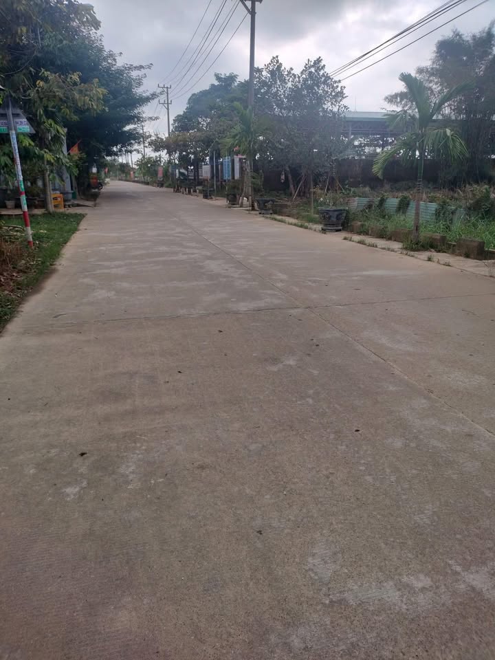 Đất nền Hòa Phong Đà Nẵng 130m² giá chỉ 1.2 tỷ - Mặt tiền đường rộng 5.5m