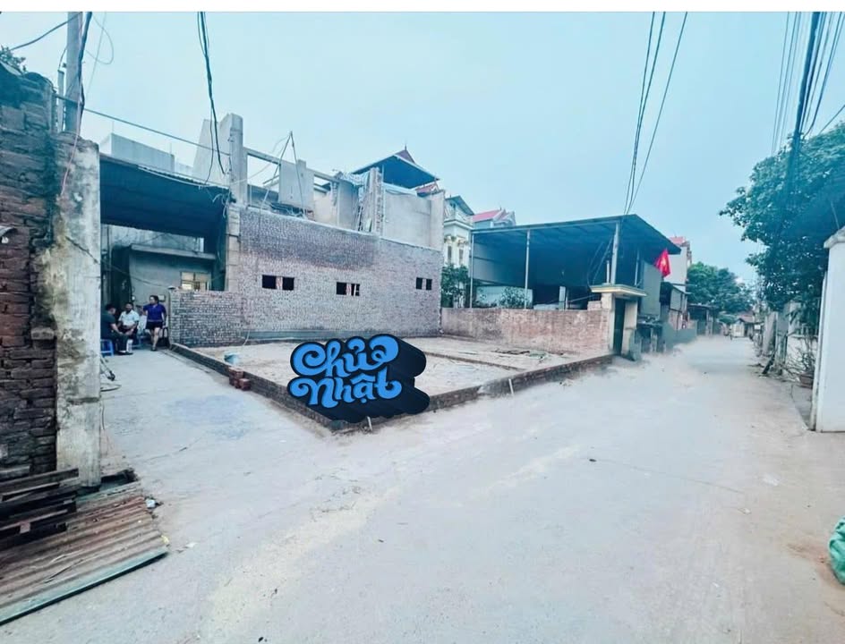 Đất Lô Góc Thụy Lâm Đông Anh 44.6m² giá 3 tỷ - Tiềm năng tăng giá cao!