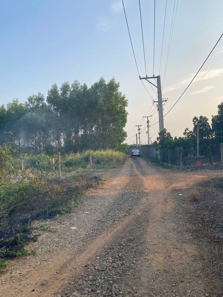 Đất nền 513m² tại Trung tâm Vĩnh An - Giá chỉ 500 triệu, cơ hội đầu tư tuyệt vời!