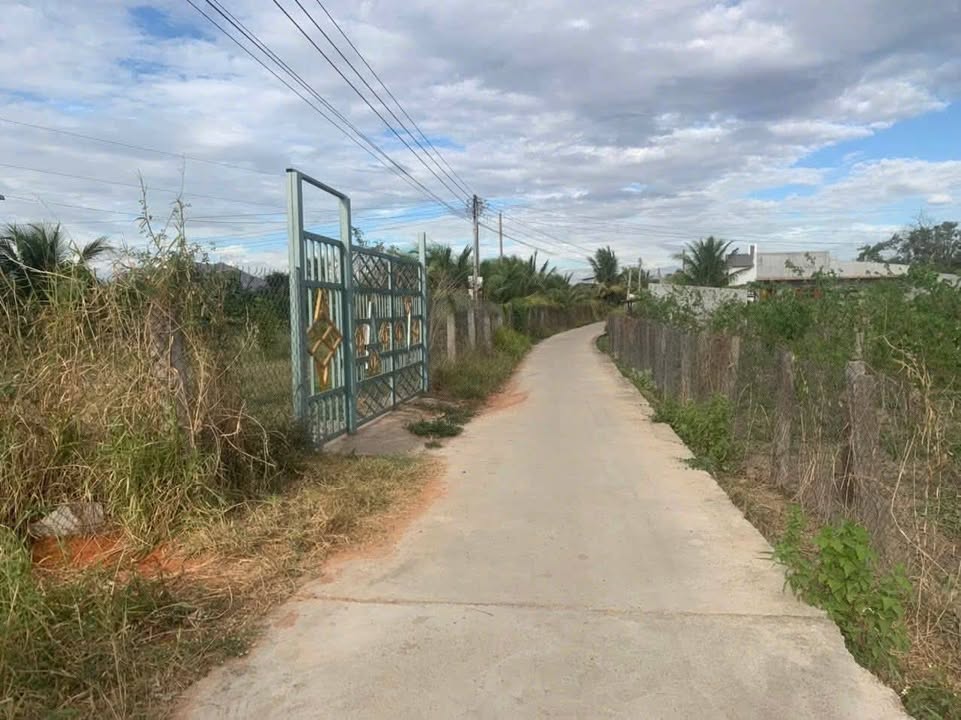 Đất sào Hàm Đức, Bình Thuận 1900m² giá 1.05 tỷ - Cơ hội đầu tư tuyệt vời!