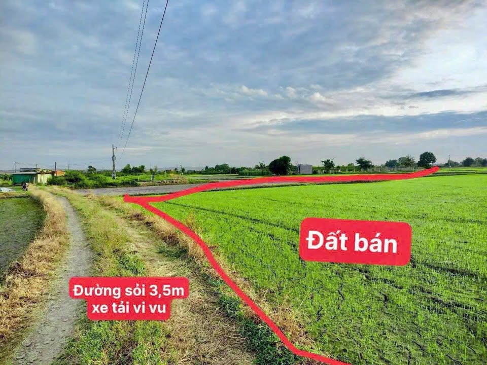 Đất thổ cư Thôn 6, Hàm Đức 3000m² giá 750 triệu - Phong thủy đẹp, đầu tư sinh lời!