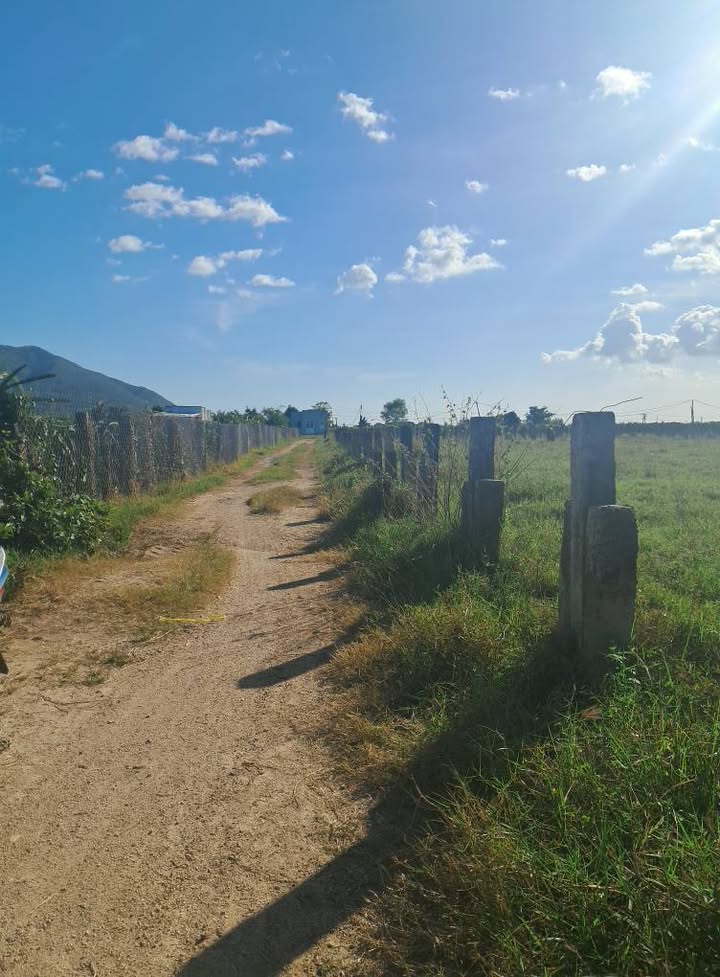 Đất nền Hồng Sơn, Hàm Thuận Bắc 800m² giá 300 triệu - Sổ đỏ chính chủ, đầu tư sinh lời!