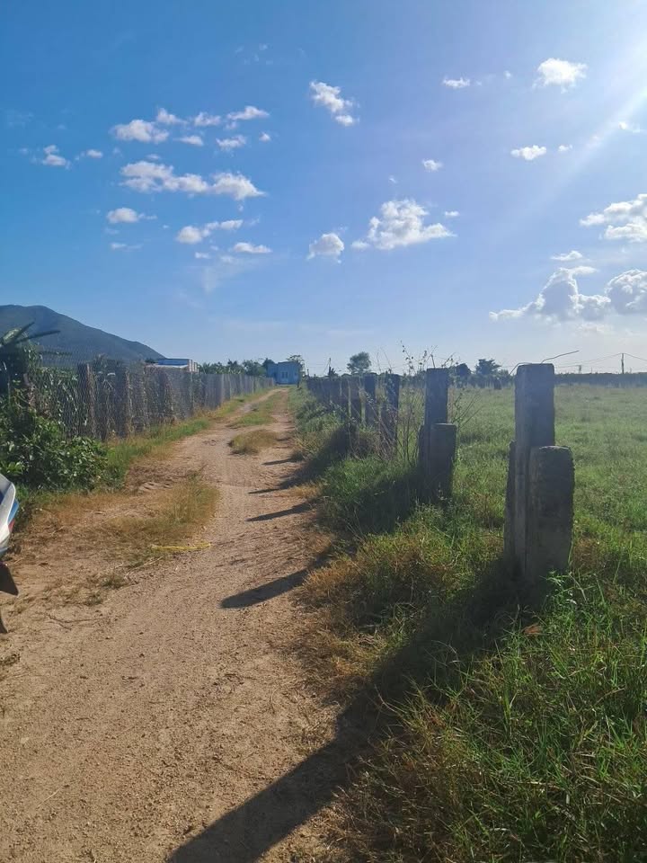 Đất trồng cây 7200m² Hồng Sơn, Hàm Thuận Bắc chỉ 300 triệu - Cơ hội đầu tư tuyệt vời!