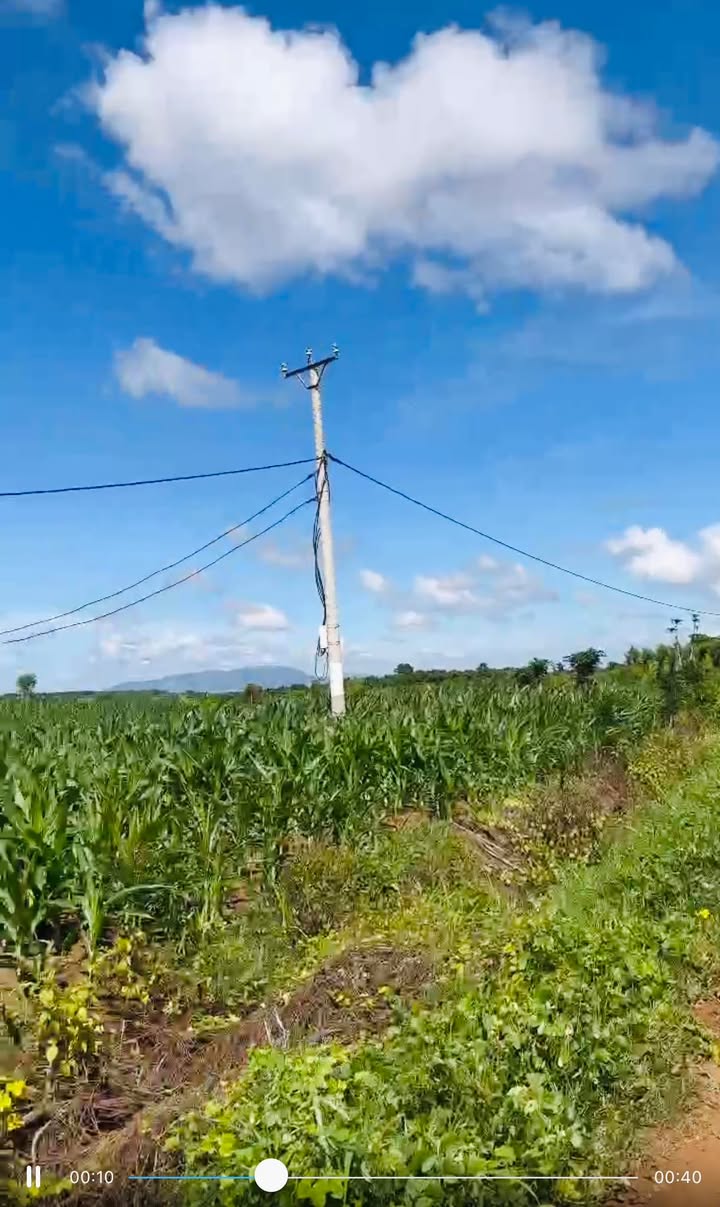 Đất nền Ia Blứ - Chư Pưh - Gia Lai 5000m² giá 350 triệu - Đường ô tô vào tận nơi!