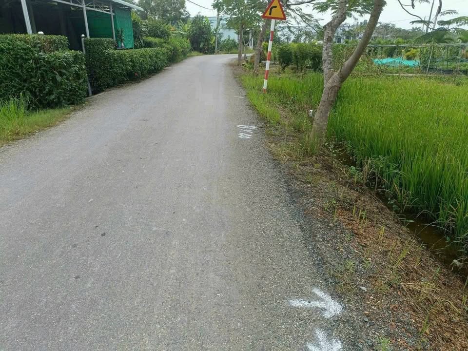 Đất thổ cư mặt tiền đường Ao Gòn, xã Tân Lân, 330m² giá 1.8 tỷ - Cơ hội đầu tư tuyệt vời!