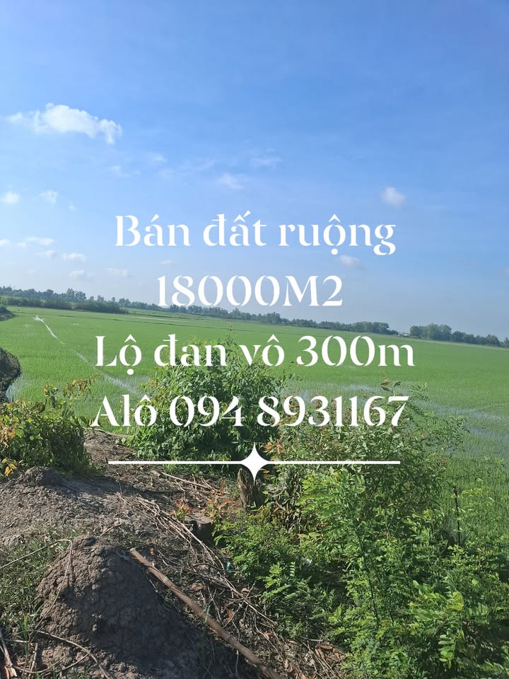 Đất ruộng Mông Thọ 18,000m² giá 2.25 tỷ - Cơ hội đầu tư hấp dẫn!