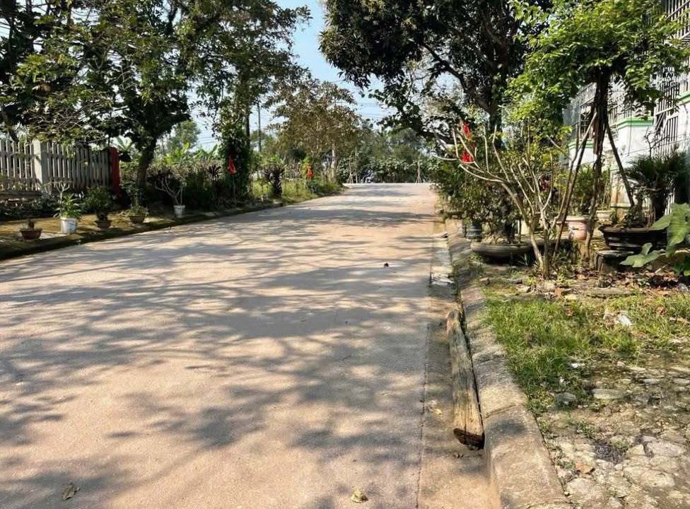 Đất mặt tiền đường Nguyễn Trung Ngạn, Thủy Xuân, 193m² giá 3.8 tỷ - Cơ hội đầu tư hiếm có!