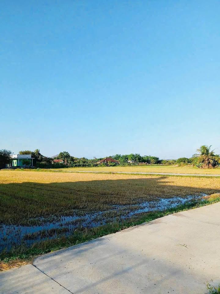 Đất Kim Bình, Hàm Thắng, 3600m² giá 950 triệu - Đầu tư sinh lời tuyệt vời!