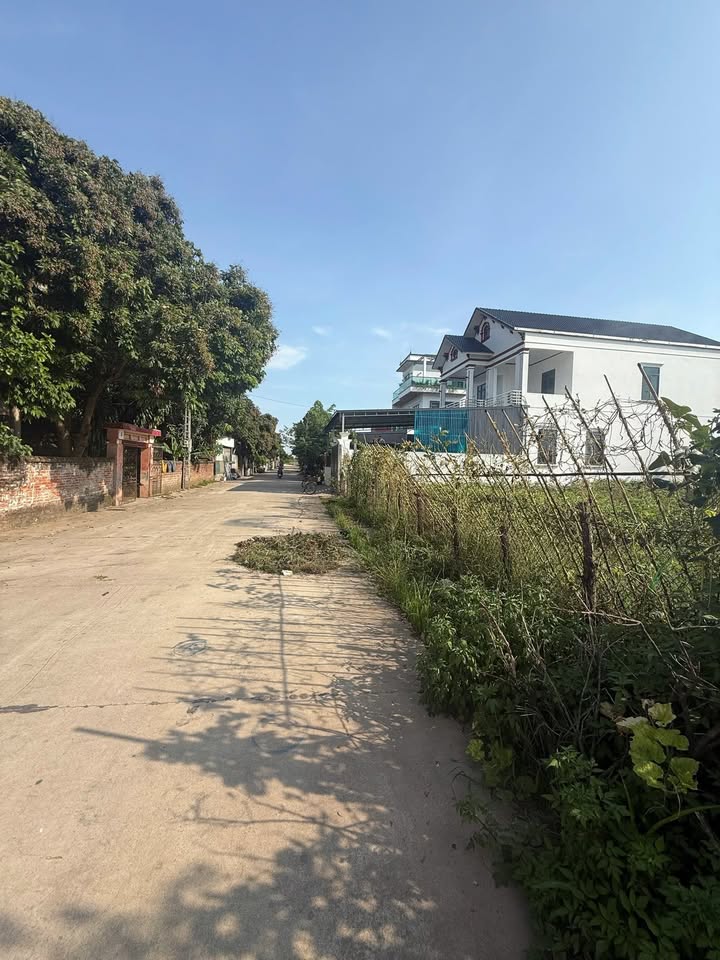 Đất nền Bảo Yên Thanh Thủy 223m² - Tiềm năng đầu tư sinh lời cao!