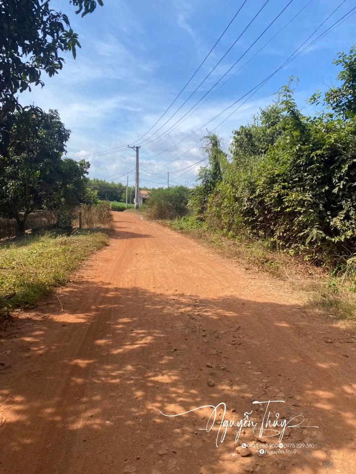 Đất nền 2,4 sào Xuân Hưng, Xuân Lộc, Đồng Nai - Chỉ 670 triệu VND