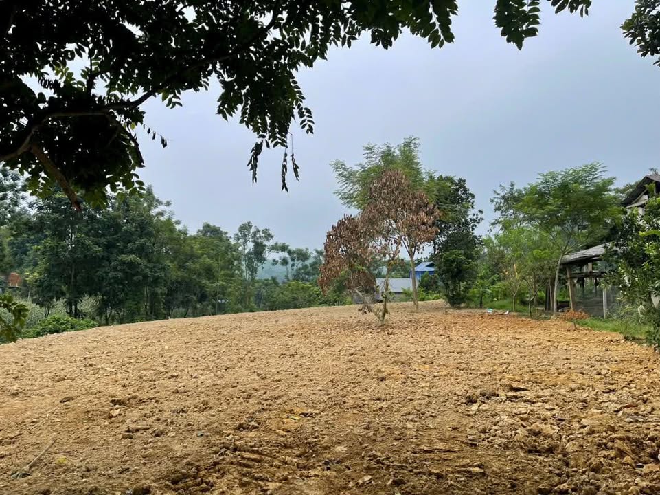 Lô đất Farm Phú Lạc - Đại Từ 9000m² giá thỏa thuận - Tiềm năng phát triển lớn!