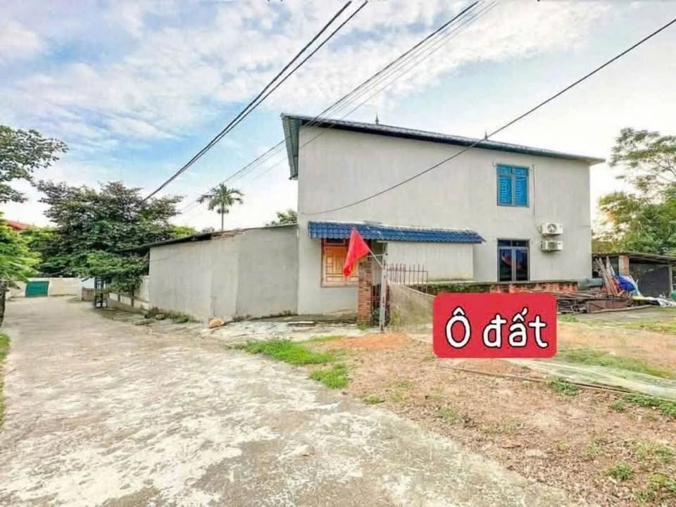 Đất nền Thanh Vân, Tam Dương 70m² - Cơ hội hiếm có với giá thỏa thuận!