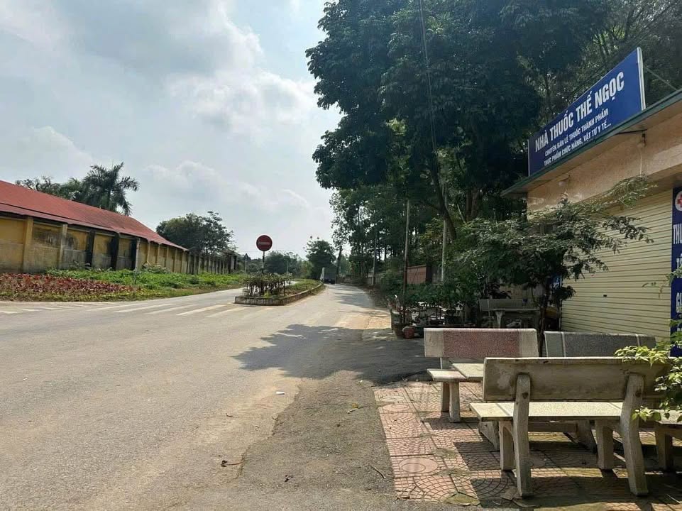 Đất nền Cầu Bút, Định Trung 125m² giá 1.39 tỷ - Cơ hội đầu tư tuyệt vời!