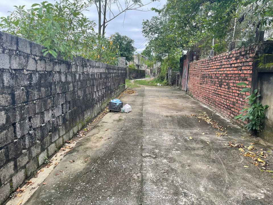 Đất nền Quảng Hải 600m² giá 1.2 tỷ - Cơ hội đầu tư tuyệt vời!