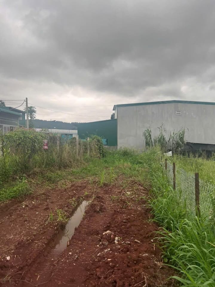 Đất thổ cư Đạ Ròn 110m² giá 1,8 tỷ - Đầu tư sinh lời ngay!