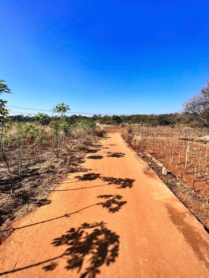 Đất Tân Tiến Buôn Ma Thuột 1 Sào giá 2,85 tỷ - Pháp lý rõ ràng, đầu tư sinh lời!