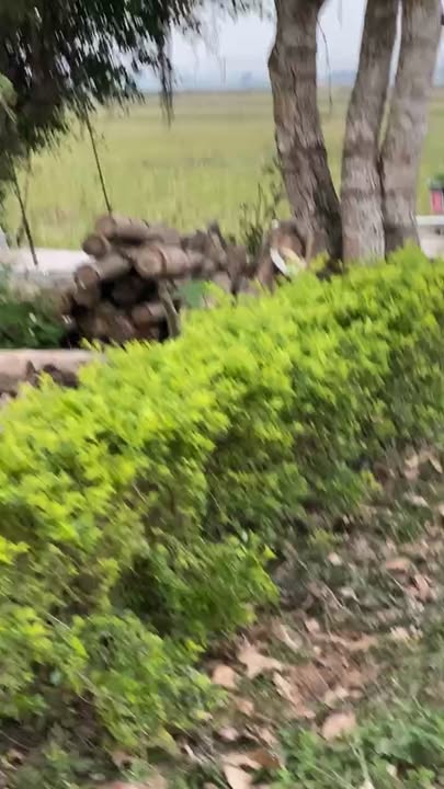 Đất nền Đồng Hoa, xã Đồng Thành 200m² chỉ 7XX triệu - Cơ hội đầu tư vàng!