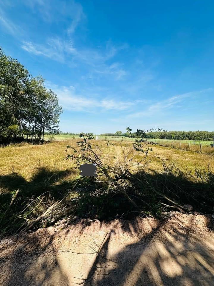 Đất Hảo Đước Châu Thành Tây Ninh 1736m² giá 700 triệu - Sổ đỏ chính chủ, đường ô tô vào tận nơi!