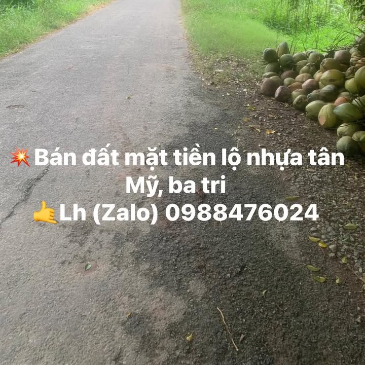 Đất mặt tiền đường Tân Mỹ, Ba Tri, Bến Tre 3600m² - Pháp lý rõ ràng, giá tốt!