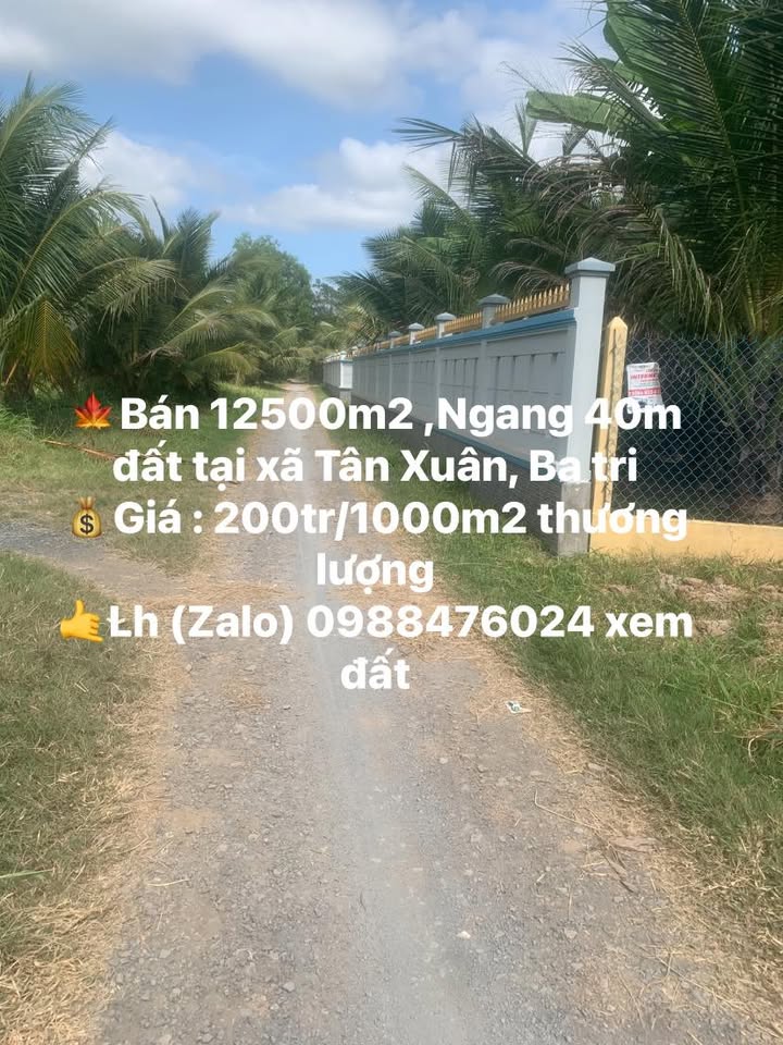 Đất nền 12,5ha Tân Xuân, Ba Tri - Giá chỉ 6 tỷ, thương lượng!