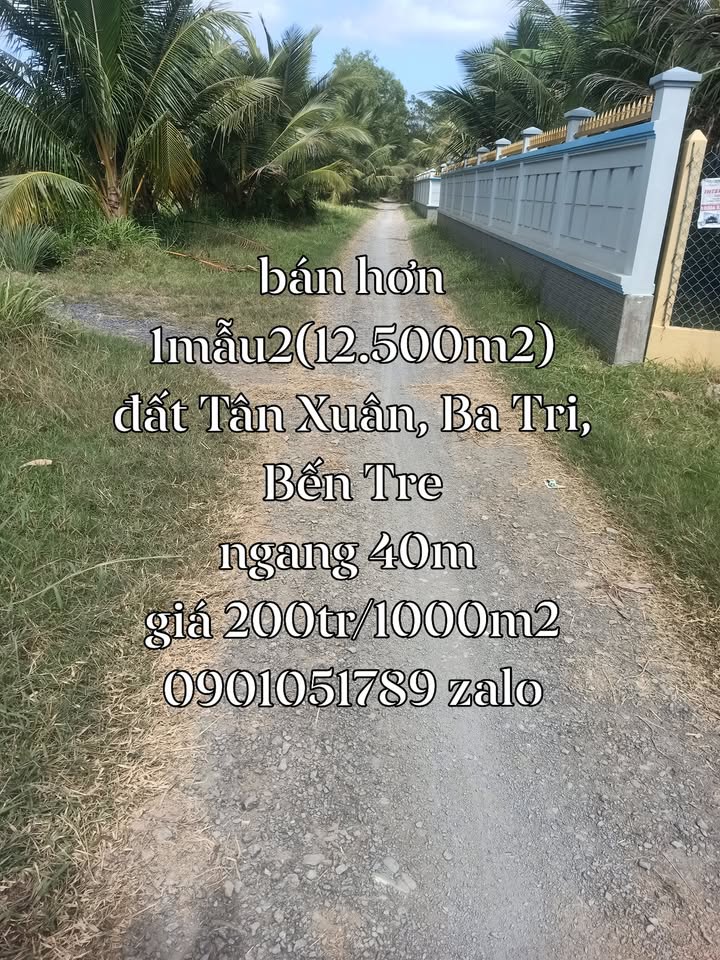 Đất nền 12.500m² tại xã Tân Xuân, Ba Tri, Bến Tre - Giá thương lượng hấp dẫn!