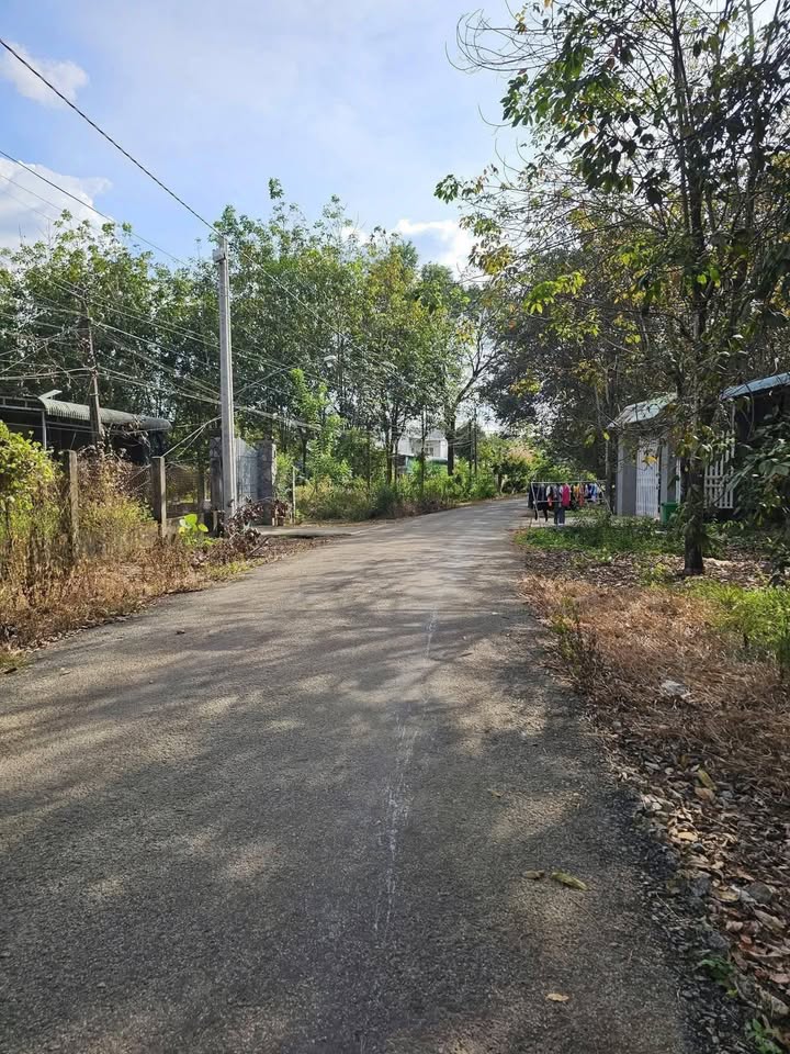 Đất nền Tiến Hưng Đồng Xoài 270m² giá chỉ 700 triệu - Cơ hội đầu tư tuyệt vời!