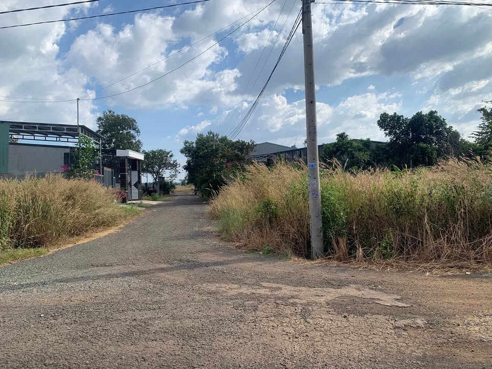 Đất nền lô góc Tân Bình, Đồng Xoài 2968m² giá 2 tỷ - Cơ hội đầu tư sinh lời!