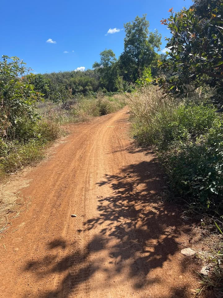 Đất nền 4.5ha tại Đồng Tiến, Bình Phước giá 7 tỷ - Cơ hội đầu tư hấp dẫn!