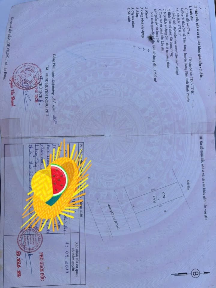 Đất nền Tân Hưng Đồng Phú 175m² giá 400 triệu - Sổ đỏ chính chủ!